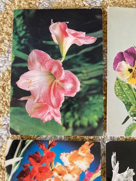 Retro kvety 80-90te roky,