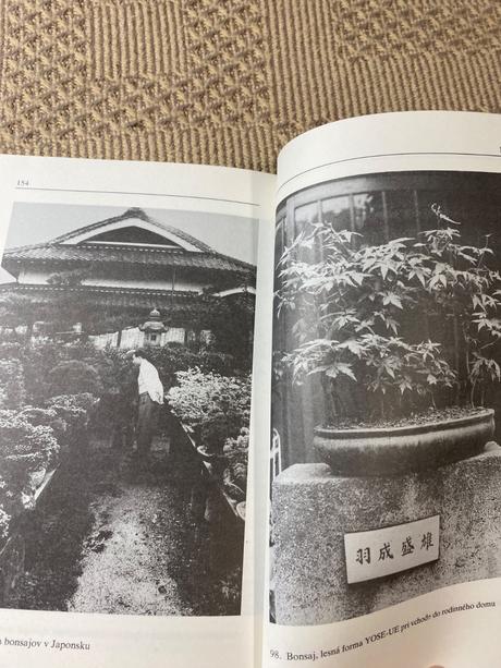 Miloslav ryšán  bonsaj, 