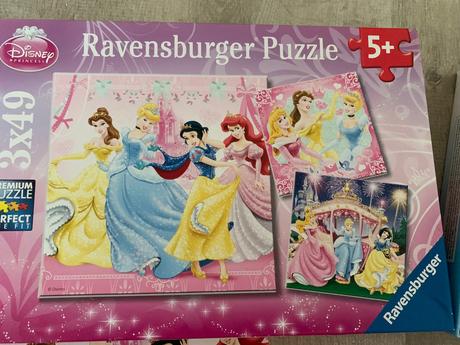 Puzzle princezné, 