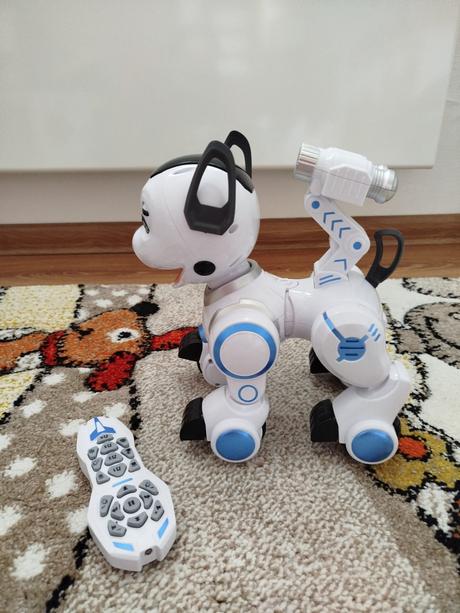 Interaktivny robopes wiky, 