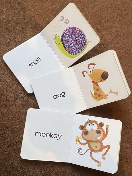 Marzipan - home, garden, jungle - word book,