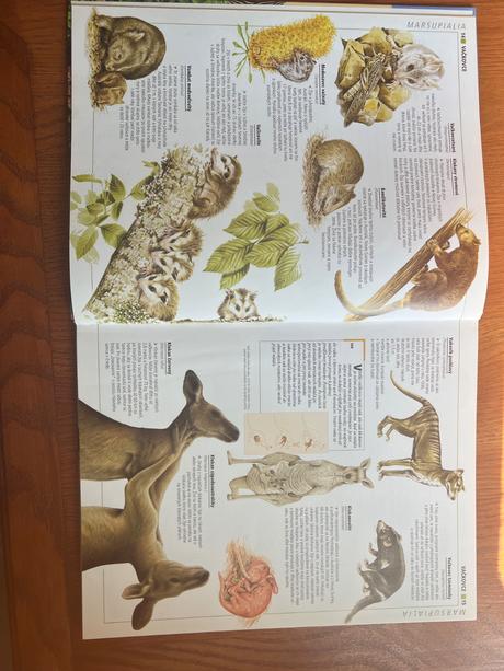 Obrazová encyklopédia zvierat rupert matthews, 