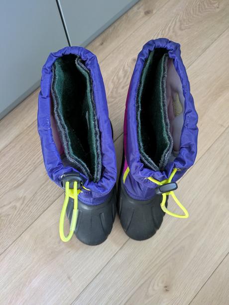 Snehule sorel, sorel,39