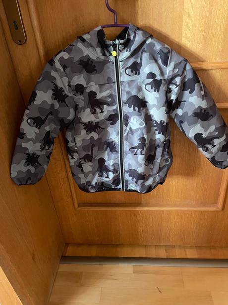 Vetrovka s dinosaurami, f&f,116