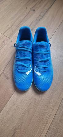 Halovky puma, puma,38