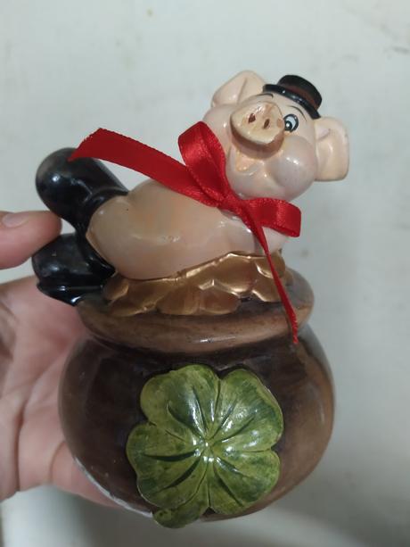 Prasiatko pokladnička, 