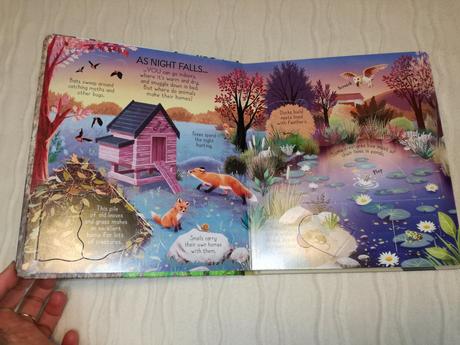 Usborne look inside our world nau22,