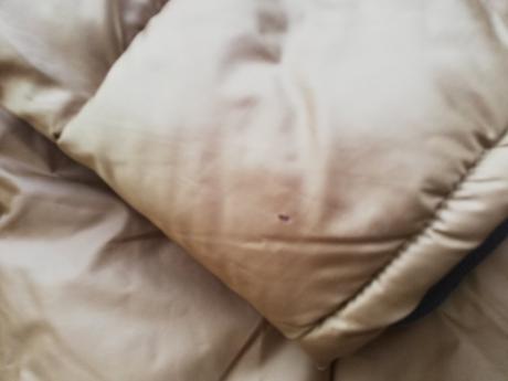 Bunda zara, zara,164