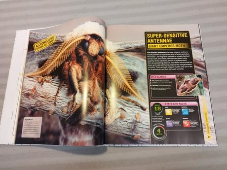 Dr george mcgavin - dk super bug hb nsu23,