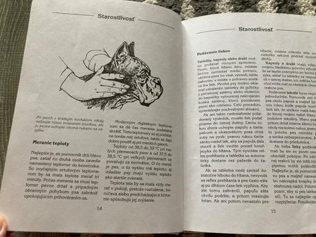 Náš pes je chorý (1999),