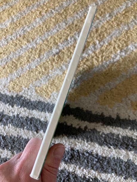 Bodríkove veľké pátranie (1997), 