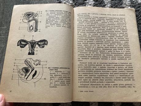 Základy rodinného života (1984),