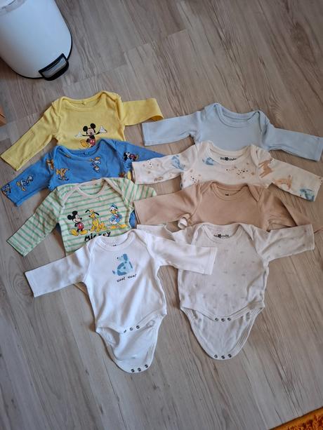 8ks bodicok v. 62, 50–62