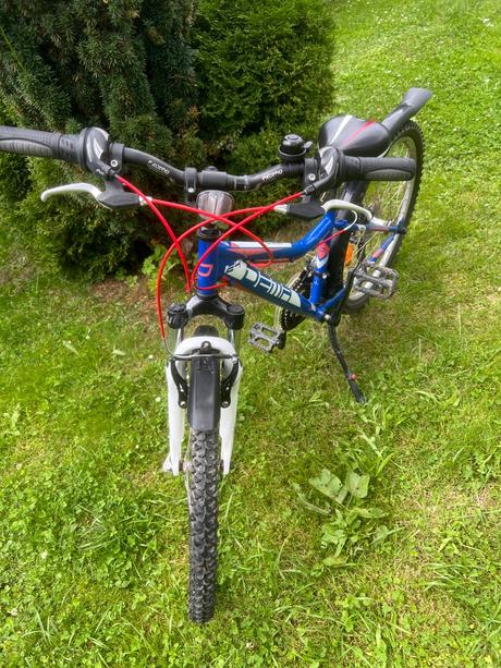 Bicykel, dema,24