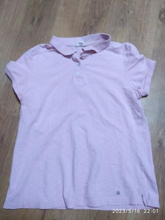 Polokosela, esprit,s