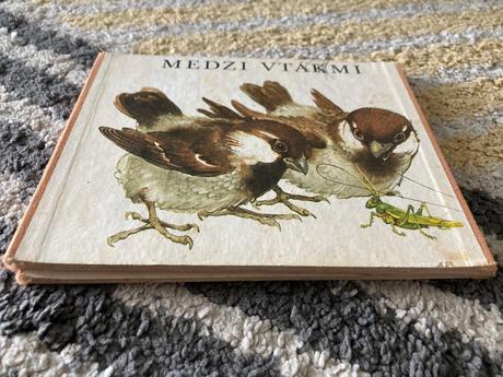 Medzi vtákmi leporelo (1987), 