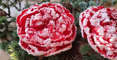 Zimná pivonka s kúzlom snehu a mrazu, 