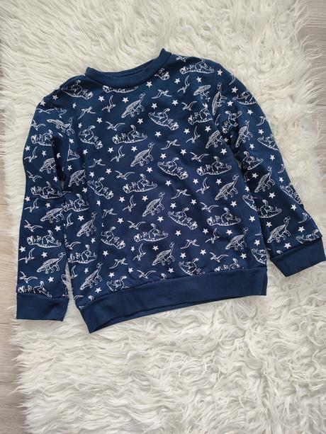 Mikina dinosaury, sinsay,110