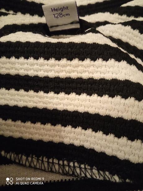 Sáčkov river island, river island,128