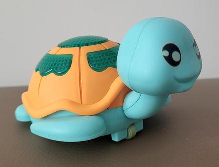 Chodiaca korytnačka, 