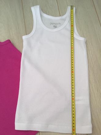 Tielka authority, authority,128