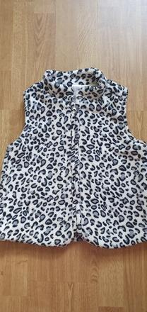 Vesta tigrovana, avon,116