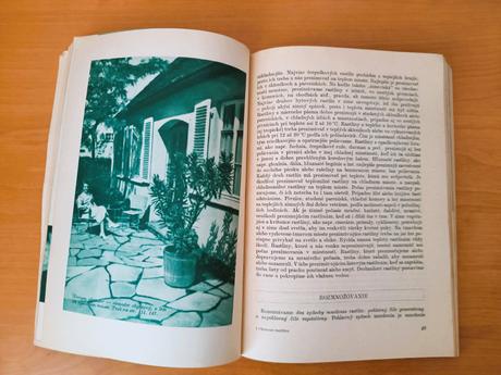 Okrasné rastliny (1960), 