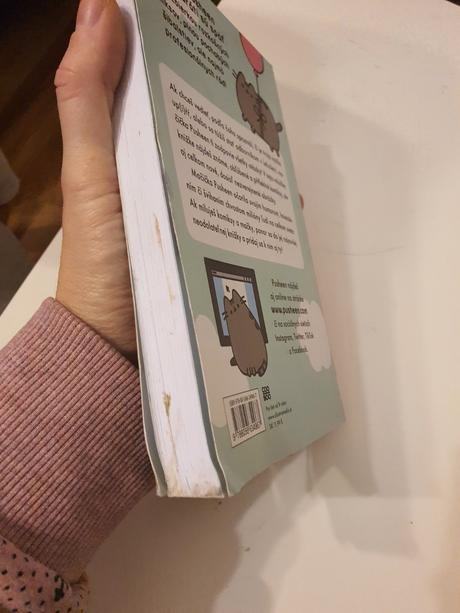 Macicka pusheen vie všetko,