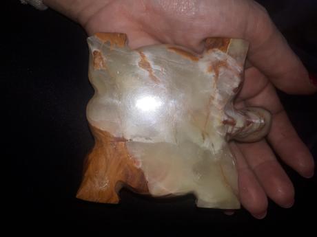 Korytnačka z onyxu, 