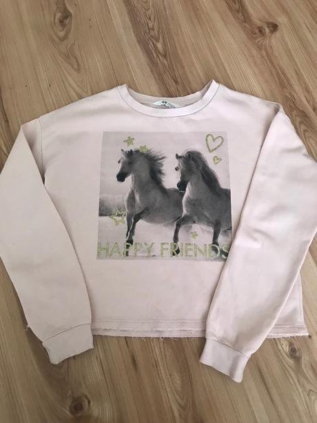 Mikina, h&m,170