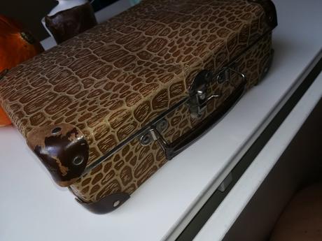 Kufrík pre zberateľov,