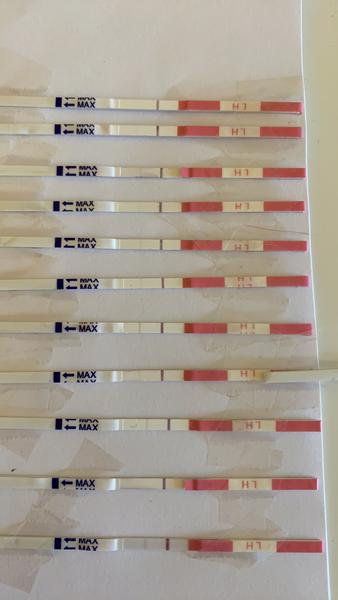 Negatívne ovulačné testy