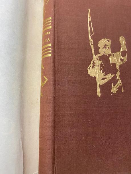 Stará retro kniha jožo nižnánský  cholera 1958, 