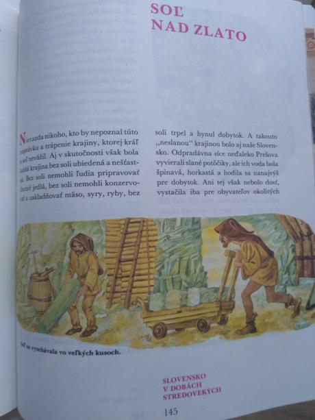 Kniha slovensko v dobách stredovekých, 