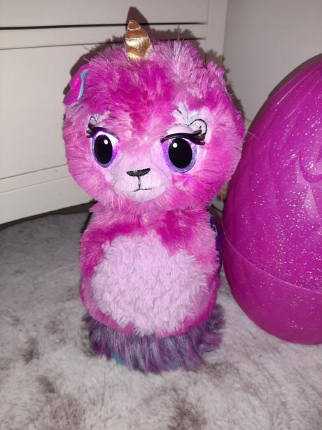 Hatchimals wow, 