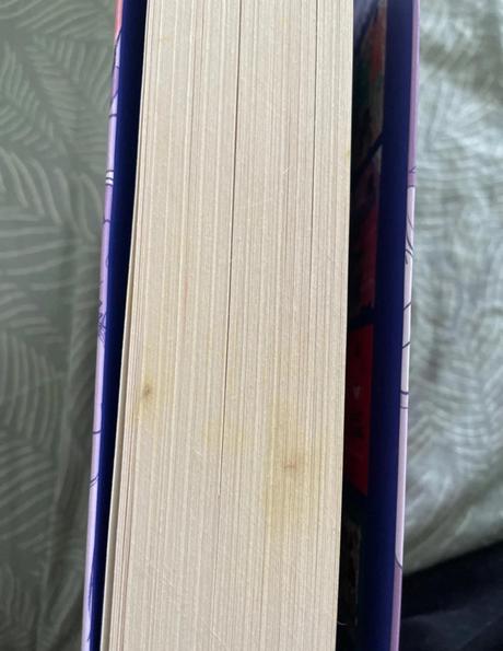 Bez lásky-alice osemanová, 