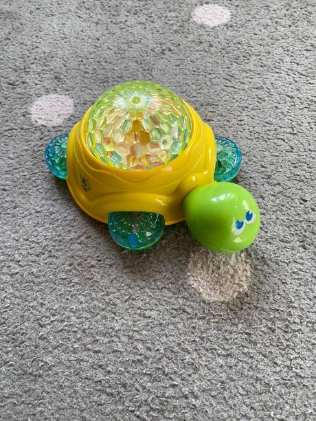 Korytnačka so zvukom, 