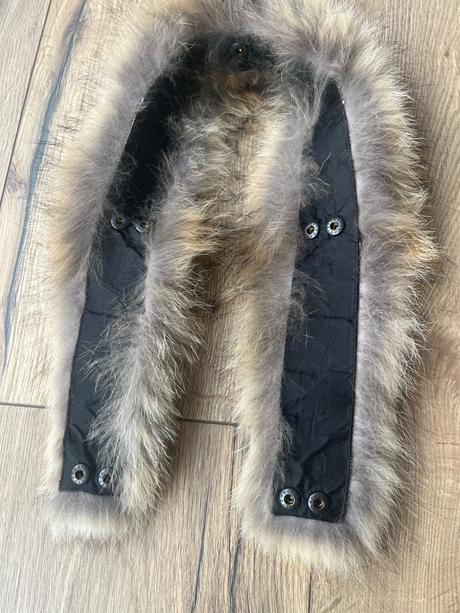 Golier liska sportalm, 