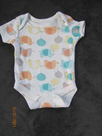 Body slonik, george,50