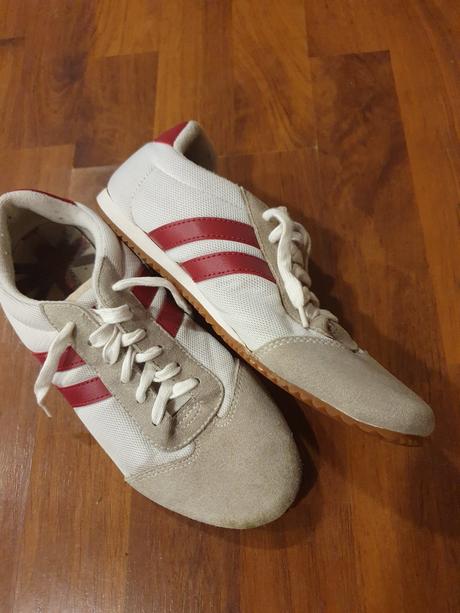 Halovky veľ. 37, 37