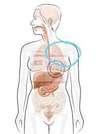 Čo spôsobuje pálenie nad prsníkom?
