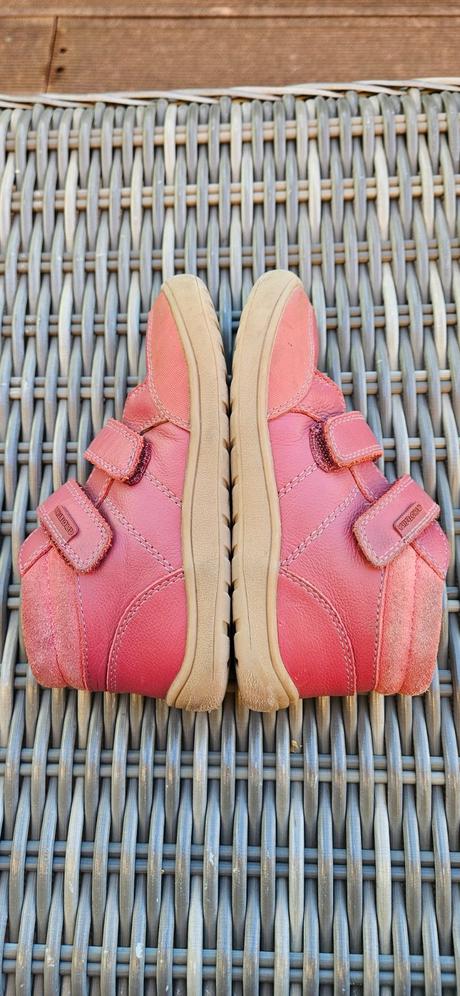 Protetika fila v. 29, protetika,29