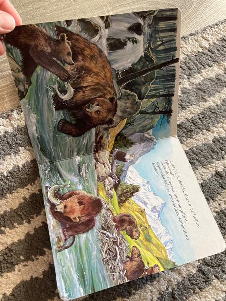 Veselé šteniatka a medvedík na prechádzke, 