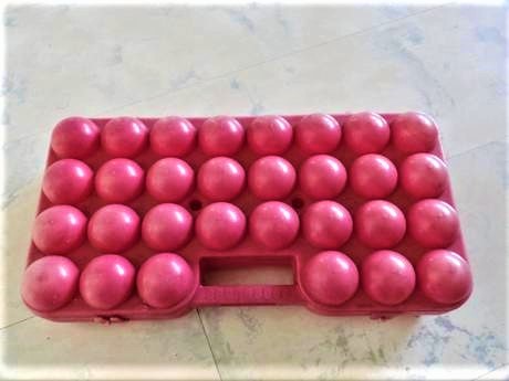 Prepravka na vajíčka / 30 vajec, 