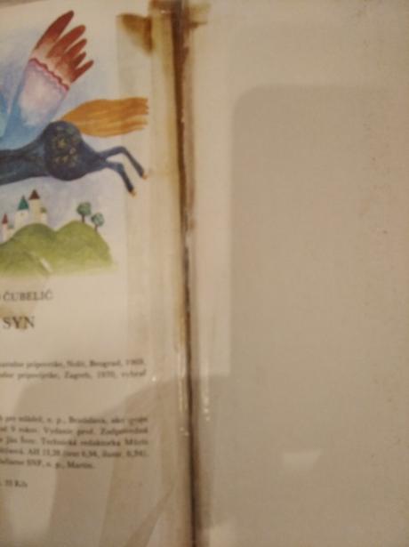 Šarkan a kráľov syn, 