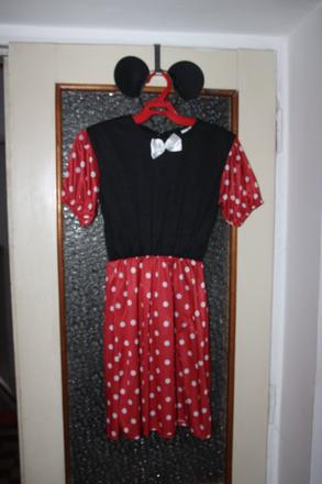 Kostym minnie, 
