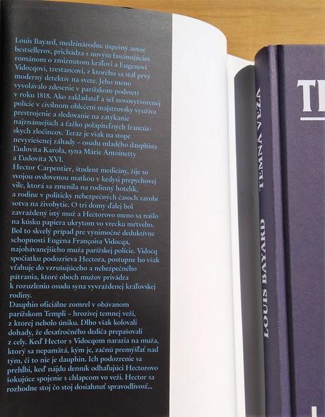 Temná veža, louis bayard,