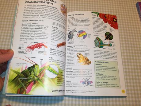 Usborne illustrated dictionary chemistry nau21, 
