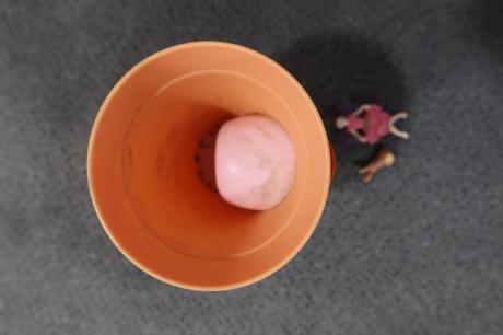 Rozprávkový kvetináč, 