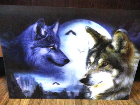 Pohyblivé obrazy 3d, 